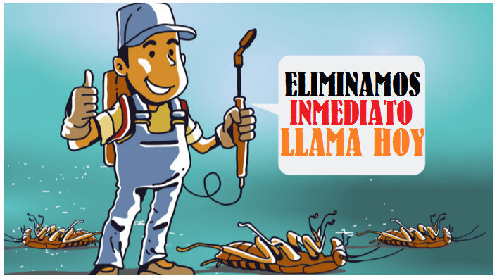 FUMIGACIONES GARANTIZADAS