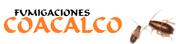 FUMIGADORES COACALCO