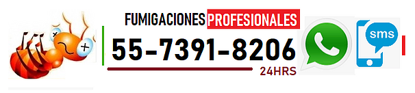TELEFONO DE FUMIGADORES EN COACACLO